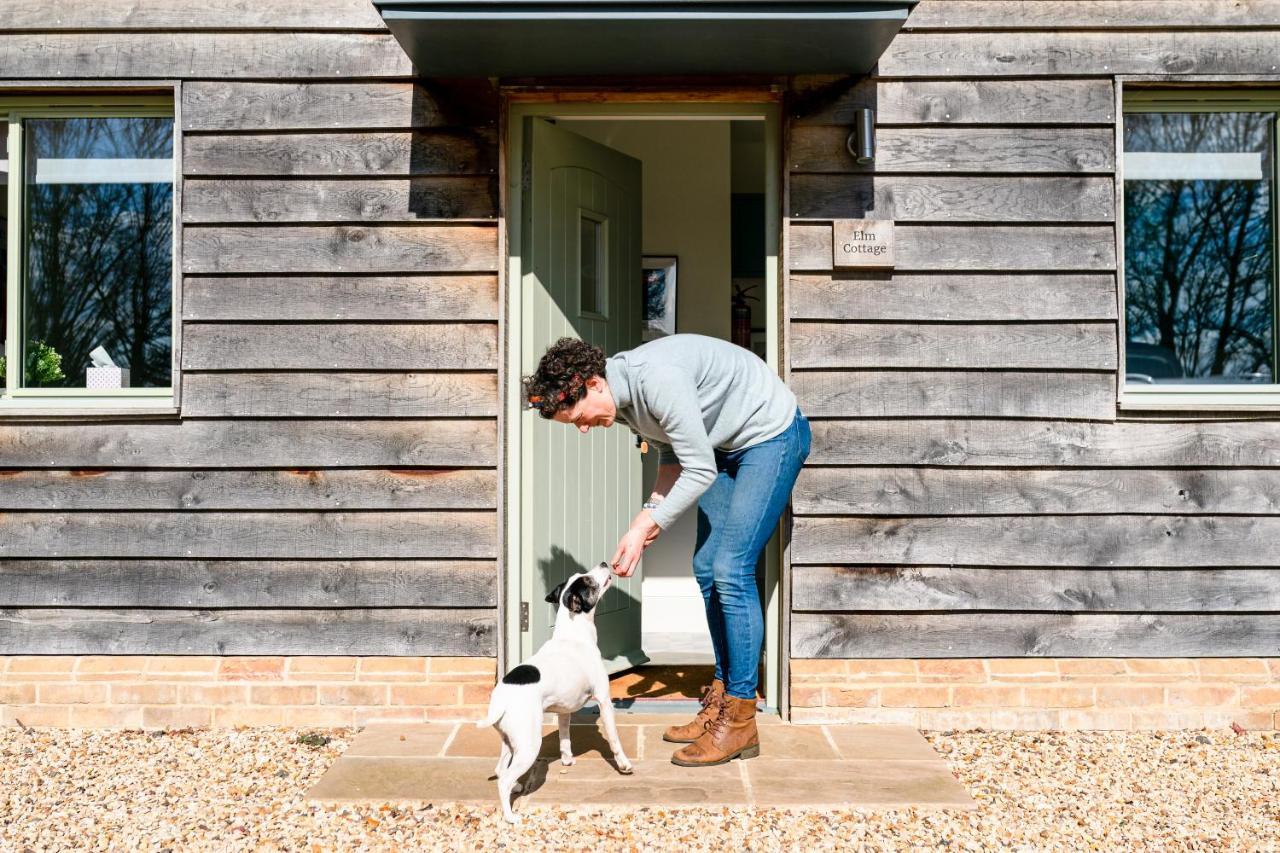 Elm Cottage At Gravel Farm Stretham Exterior photo